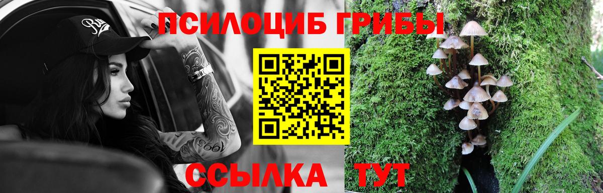 Псилоцибиновые грибы Psilocybine cubensis  Вход с VPN  Фролово  хочу   Галлюциногенные грибы мицелий 